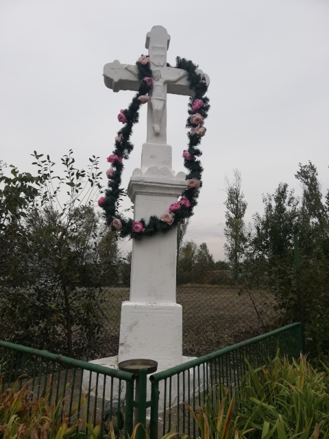 Krzyż na murowanym postumencie usytuowany jest przy skrzyżowaniu drogi krajowej DK79 i drogi lokalnej L2 naprzeciwko OSM Bidziny