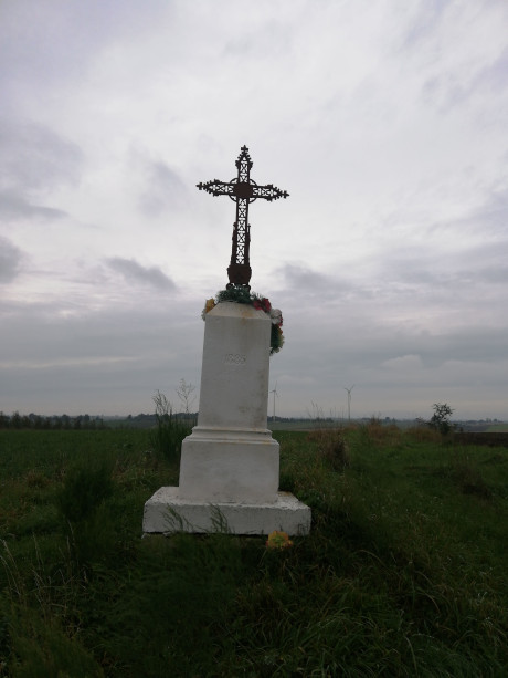 Krzyż metalowy na postumencie murowanym usytuowany po lewej stronie drogi powiatowej Nr 0728T w stronę drogi wojewódzkiej nr 755