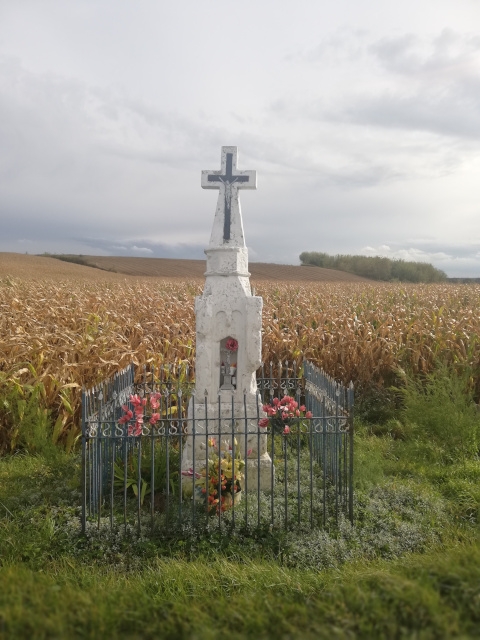 Krzyż murowany zlokalizowany jest na skrzyżowaniu drogi powiatowej Nr 0767T i drogi gminnej 004520T Łopata koło Sendrowicza